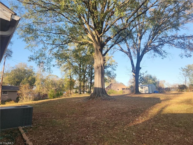 view of yard featuring a shed