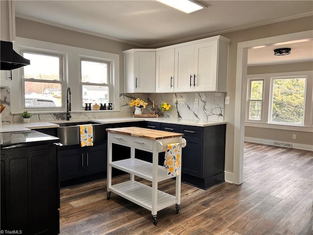 kitchen featuring visible vents, dark wood-type flooring, a sink, white cabinetry, and light countertops