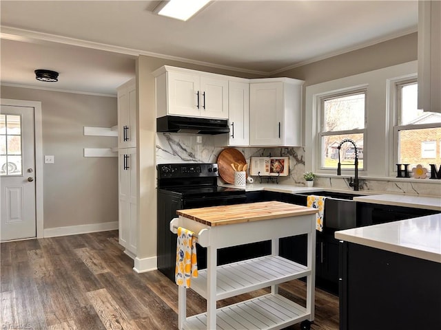 kitchen with under cabinet range hood, a sink, ornamental molding, and black electric range