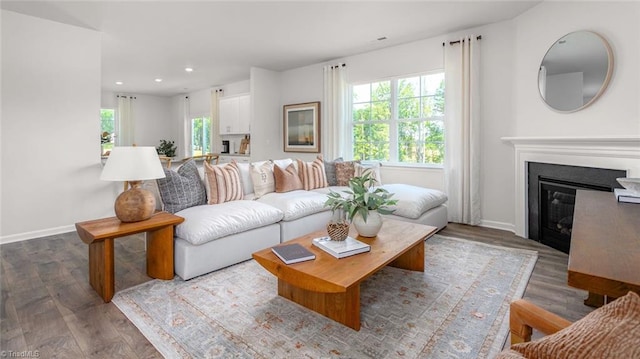 living room featuring hardwood / wood-style floors