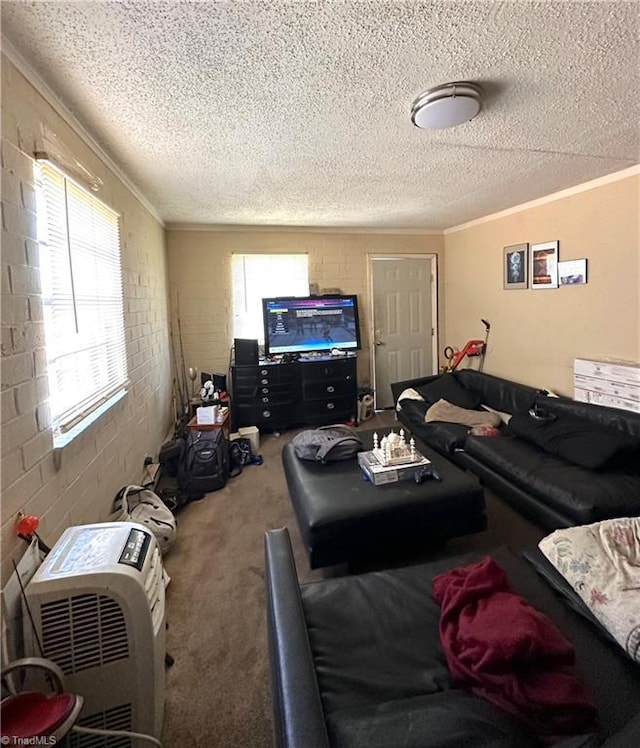 living room featuring a textured ceiling, ornamental molding, and carpet flooring