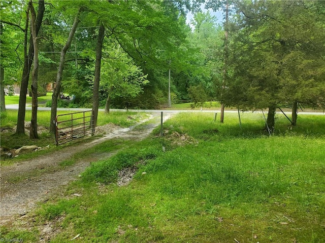 291 Virgil Hill Rd, Asheboro, NC 27205 - view of community with a wooded view