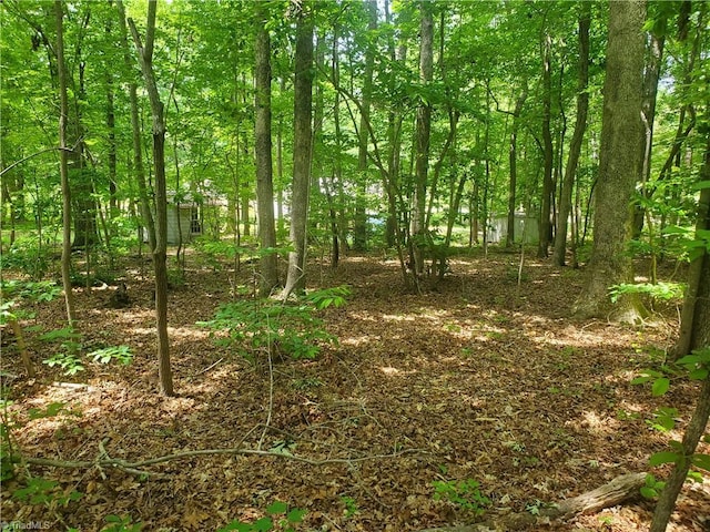 291 Virgil Hill Rd, Asheboro, NC 27205 - view of nature