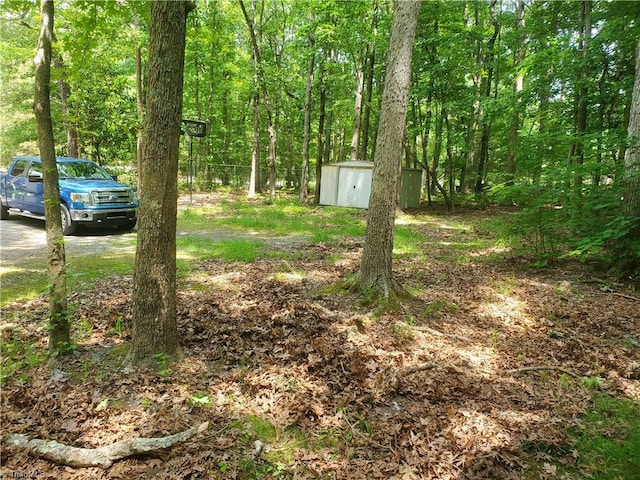 291 Virgil Hill Rd, Asheboro, NC 27205 - view of yard featuring a view of trees