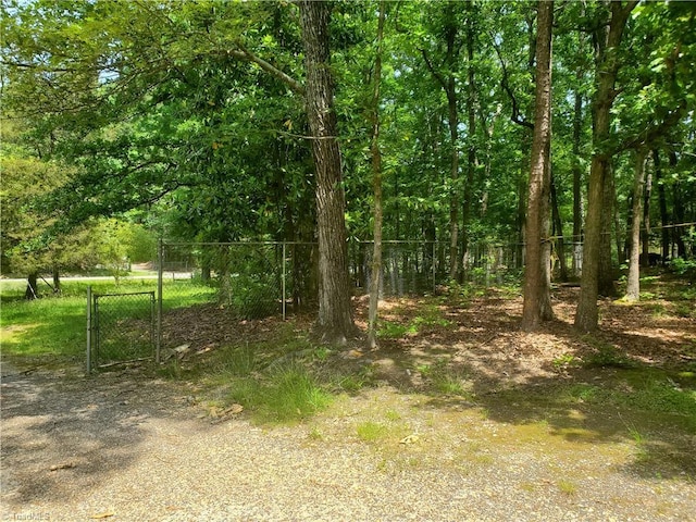 291 Virgil Hill Rd, Asheboro, NC 27205 - view of undeveloped land