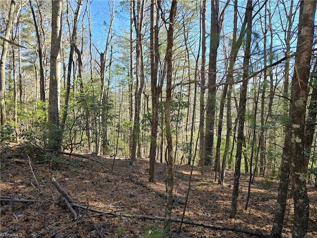 TBD Timber Ridge Rd, Millers Creek NC, 28651 land for sale