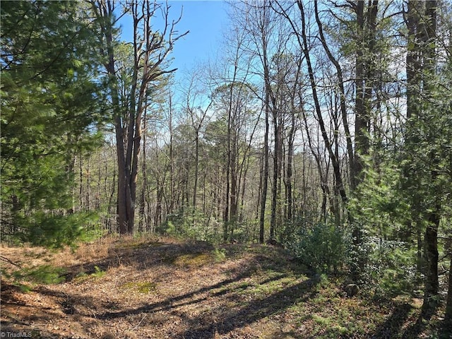 Listing photo 2 for TBD Timber Ridge Rd, Millers Creek NC 28651