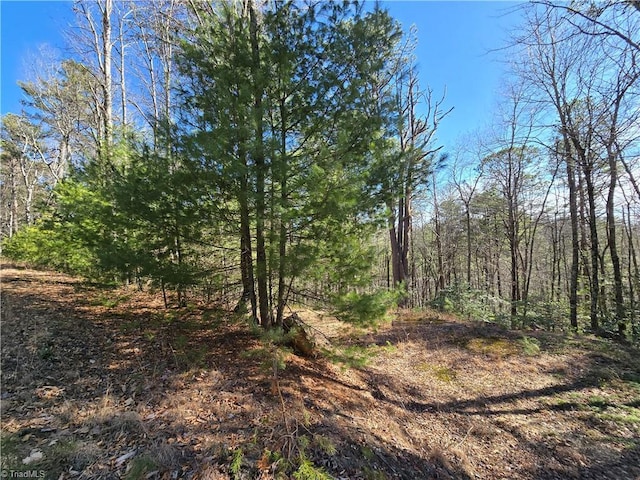 Listing photo 3 for TBD Timber Ridge Rd, Millers Creek NC 28651