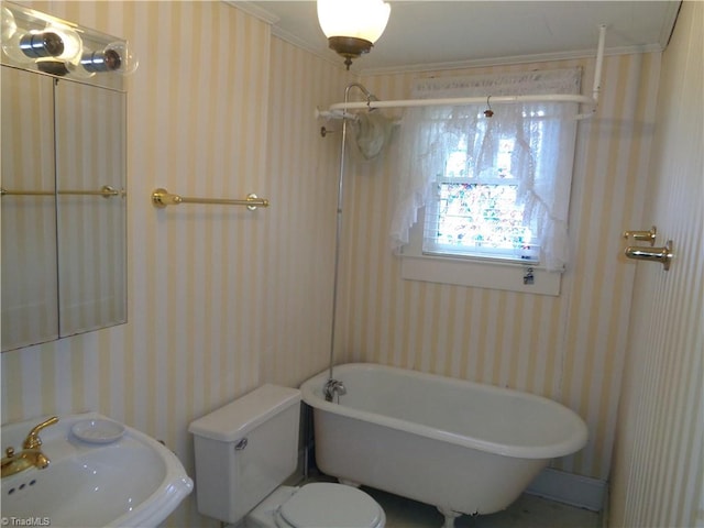 bathroom featuring toilet, ornamental molding, and sink