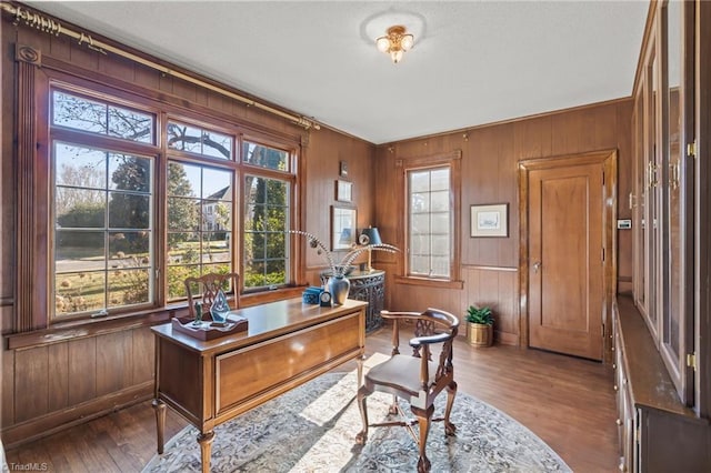 office space with dark hardwood / wood-style floors