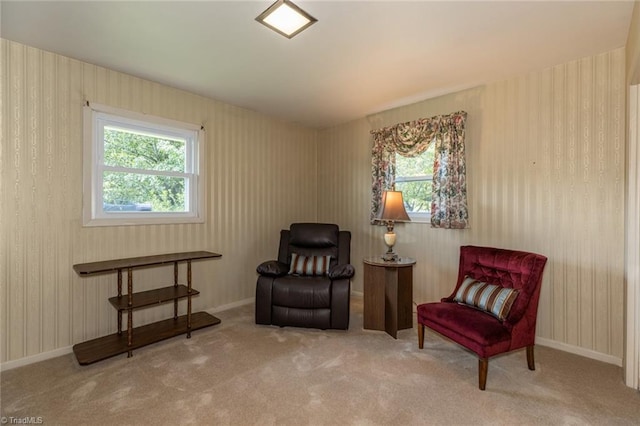 living area with carpet flooring