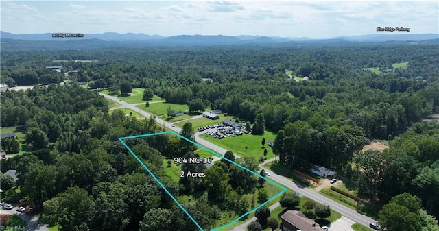 birds eye view of property featuring a mountain view