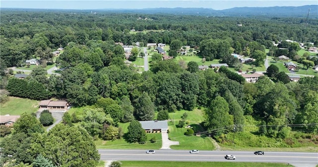 bird's eye view