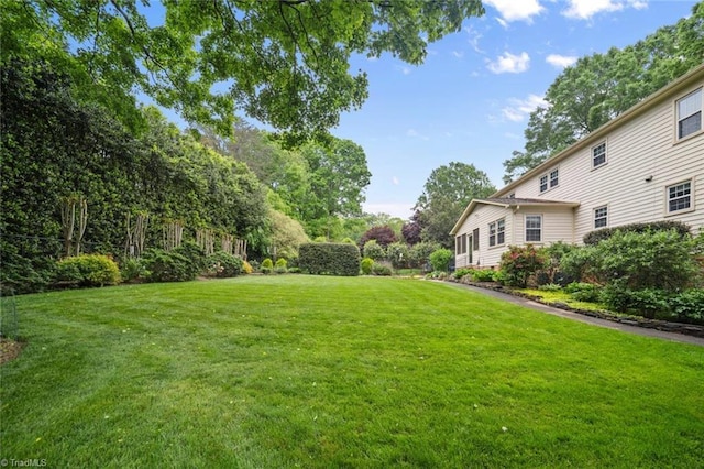 view of grassy yard