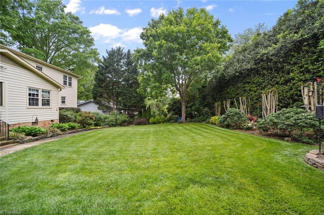 view of green lawn with view of scattered trees
