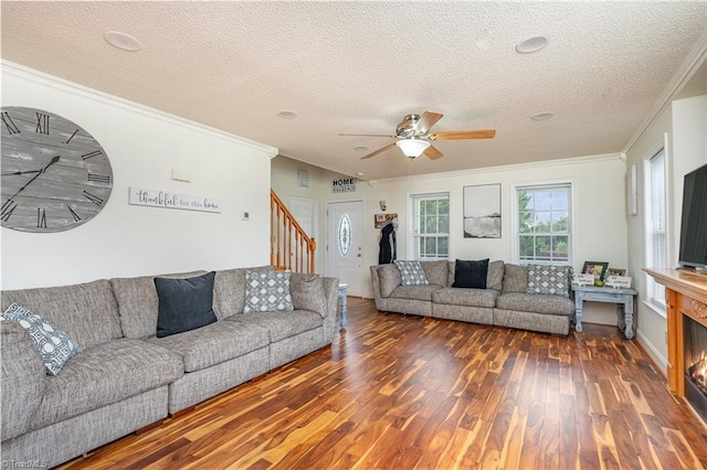 living room with ornamental molding, ceiling fan, a textured ceiling, and dark hardwood / wood-style flooring