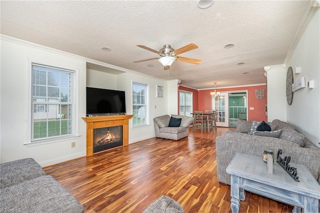 living room featuring crown molding, plenty of natural light, hardwood / wood-style floors, and a textured ceiling