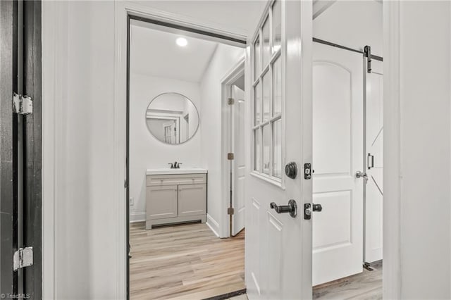 bathroom featuring wood-type flooring and vanity