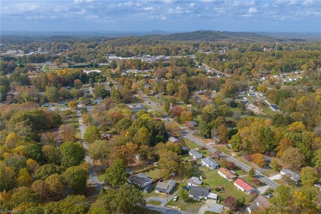 bird's eye view