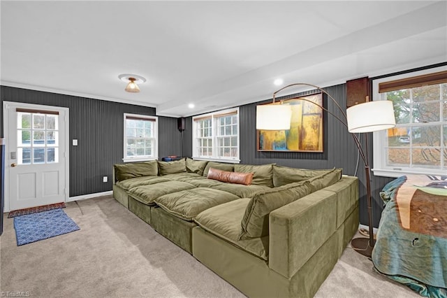 carpeted living room featuring a healthy amount of sunlight