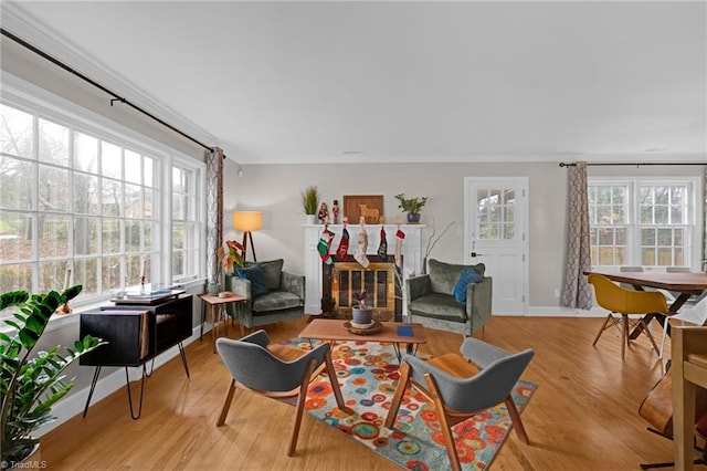 living room with light hardwood / wood-style flooring