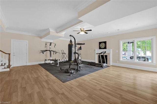 exercise area with a ceiling fan, a fireplace, wood finished floors, baseboards, and ornamental molding