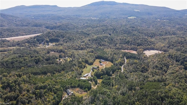 birds eye view of property featuring a mountain view