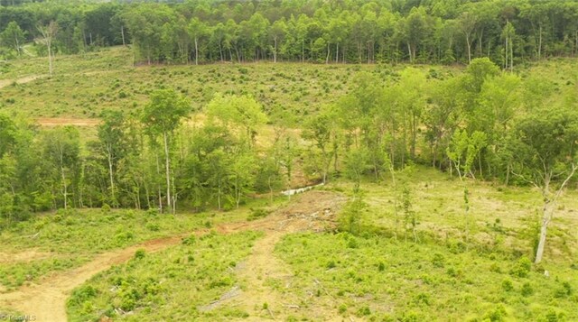 LOT8 Skeens Mill Rd, Trinity, NC 27370
