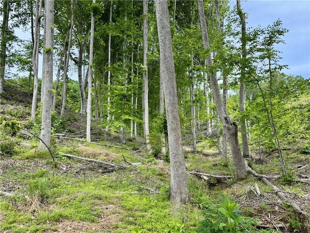 LOT8 Skeens Mill Rd, Trinity, NC 27370