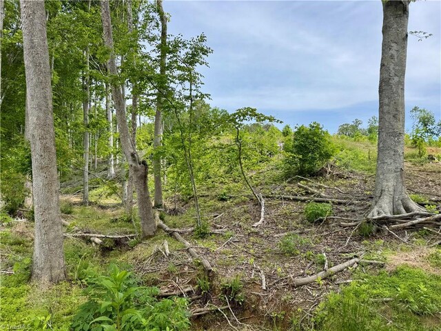 LOT8 Skeens Mill Rd, Trinity, NC 27370