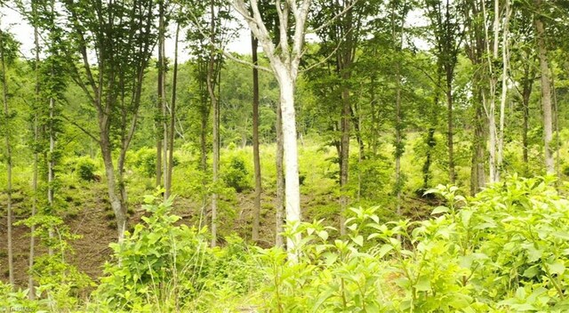 LOT8 Skeens Mill Rd, Trinity, NC 27370