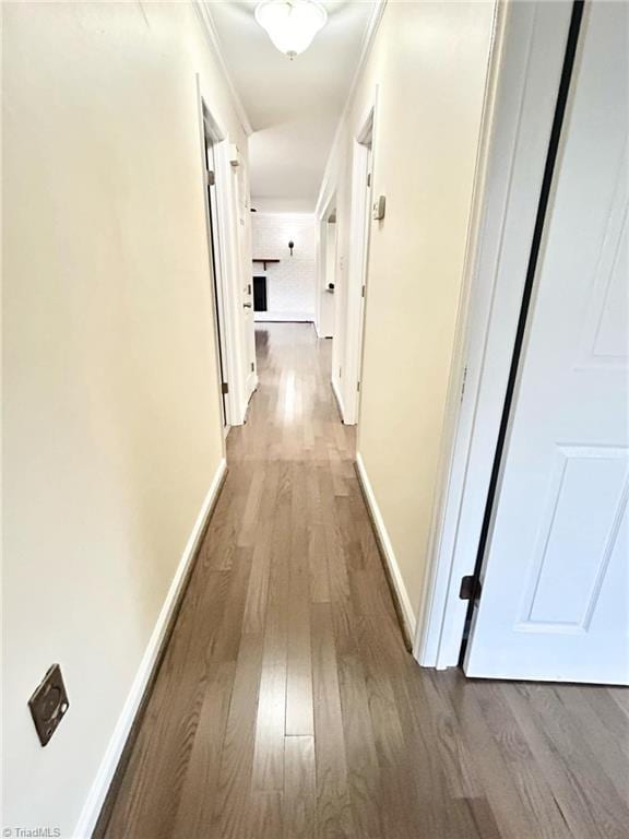 hallway with wood-type flooring and ornamental molding