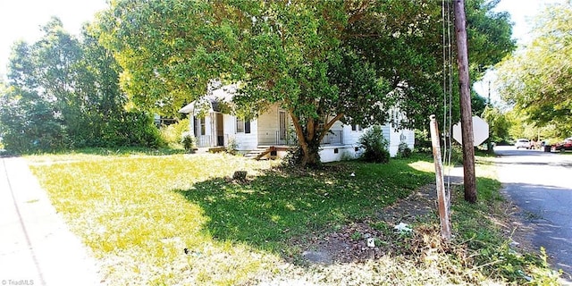 view of grassy yard