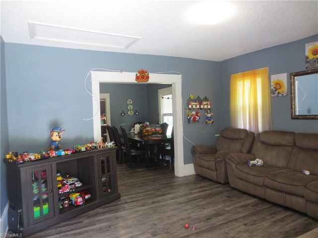 living room with hardwood / wood-style flooring