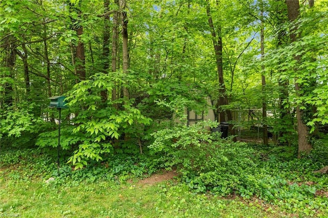 view of landscape