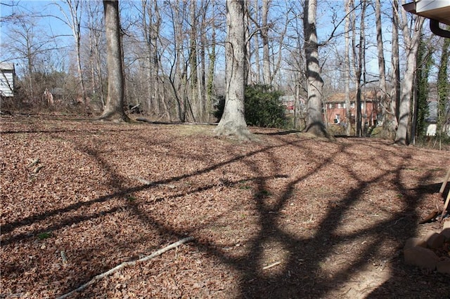 177 Duke Rd, Mount Airy, NC 27030 - view of yard