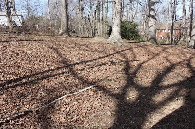 177 Duke Rd, Mount Airy, NC 27030 - exterior space