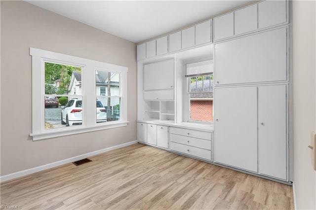 interior space featuring light wood-type flooring and a closet