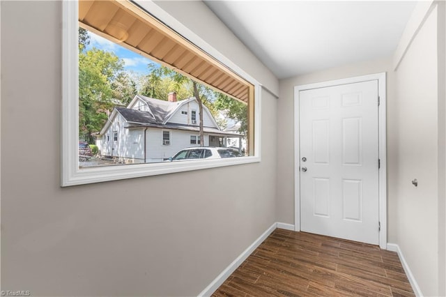 entryway featuring dark wood-type flooring