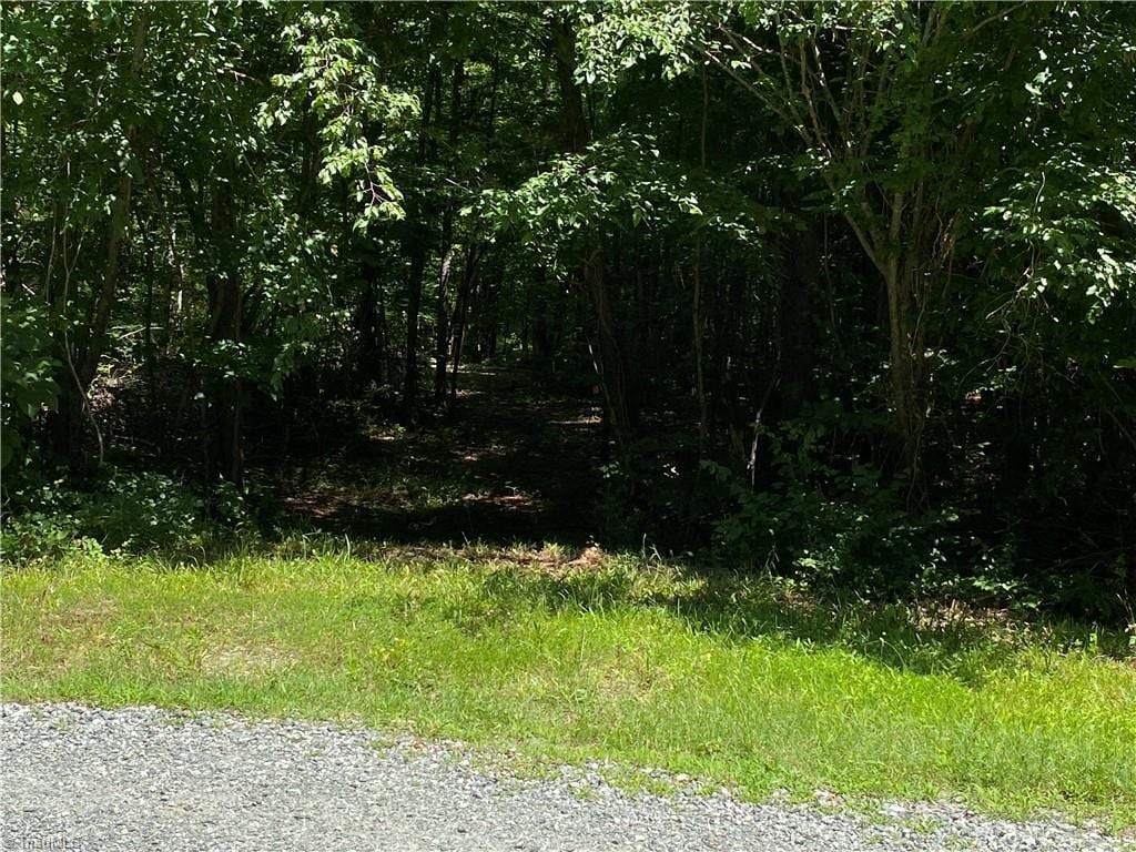 1831 High Rock School Rd, Blanch, NC 27212
