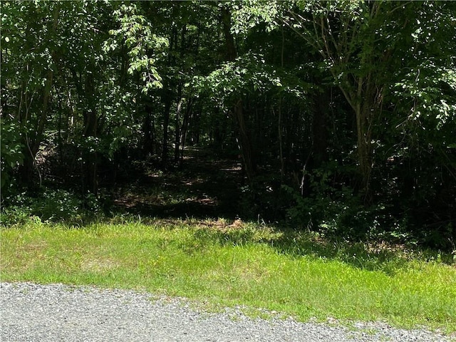 1831 High Rock School Rd, Blanch, NC 27212