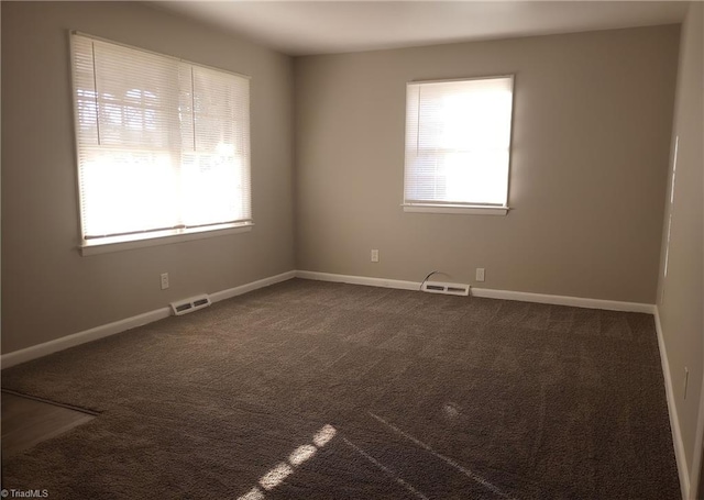 carpeted empty room featuring a wealth of natural light