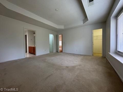 unfurnished bedroom with light colored carpet, a raised ceiling, a spacious closet, and multiple windows