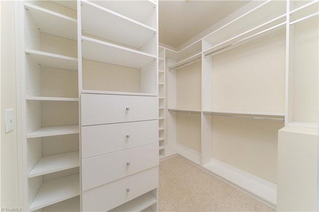 2334 Addison Blvd, High Point, NC 27262 - view of walk in closet