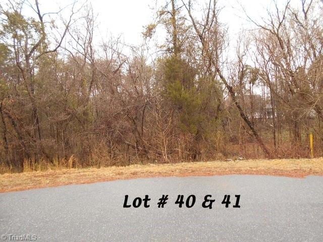 40 Fox Run, Eden NC, 27288 land for sale