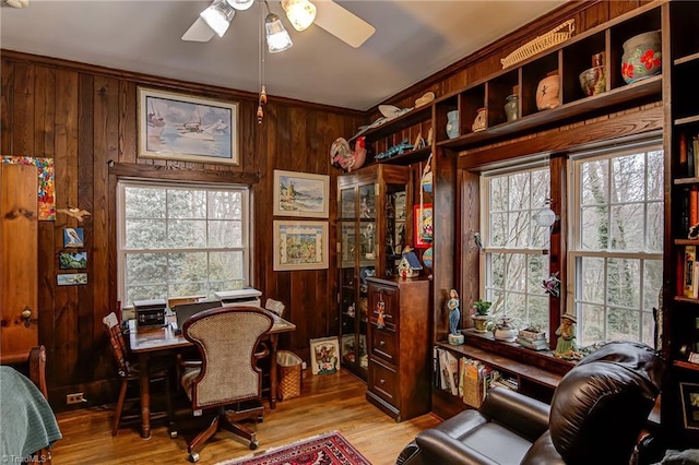 office with a wealth of natural light, light hardwood / wood-style floors, and wood walls