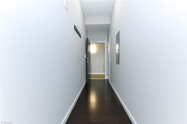 hallway with dark hardwood / wood-style floors