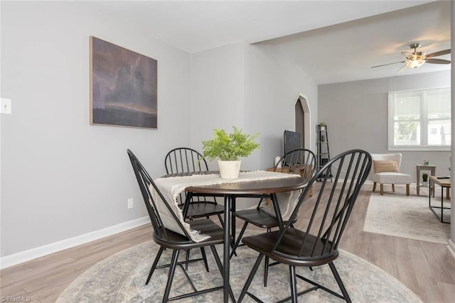 dining space with light wood-type flooring and ceiling fan