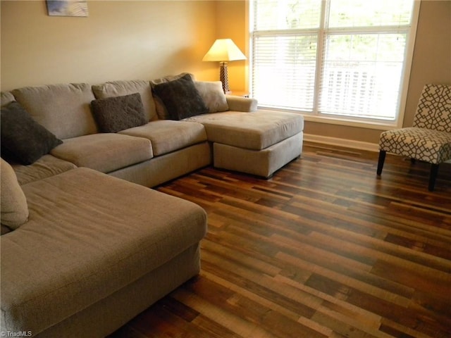 living area featuring baseboards and dark wood-style flooring