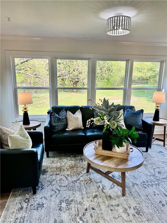 living area featuring crown molding, plenty of natural light, and wood finished floors